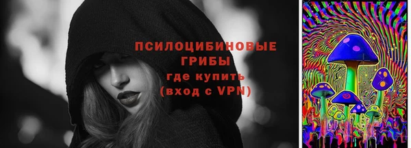 мдпв Михайловск