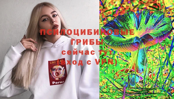 mdpv Михайлов