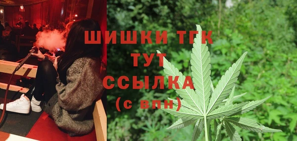 мдпв Михайловск