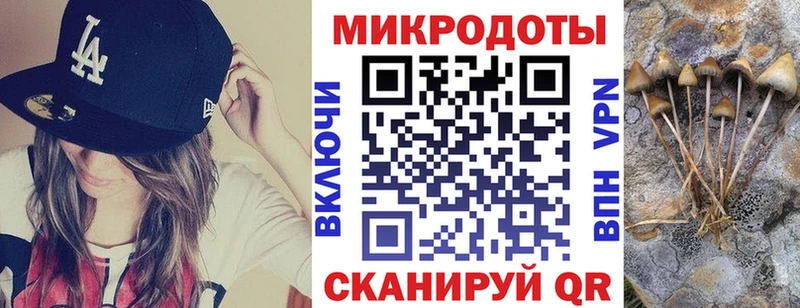 Купить закладки  Котлас  Псилоцибиновые грибы Psilocybe 