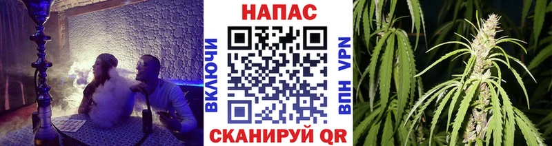 Марихуана THC 21%  Купить где  Котлас 